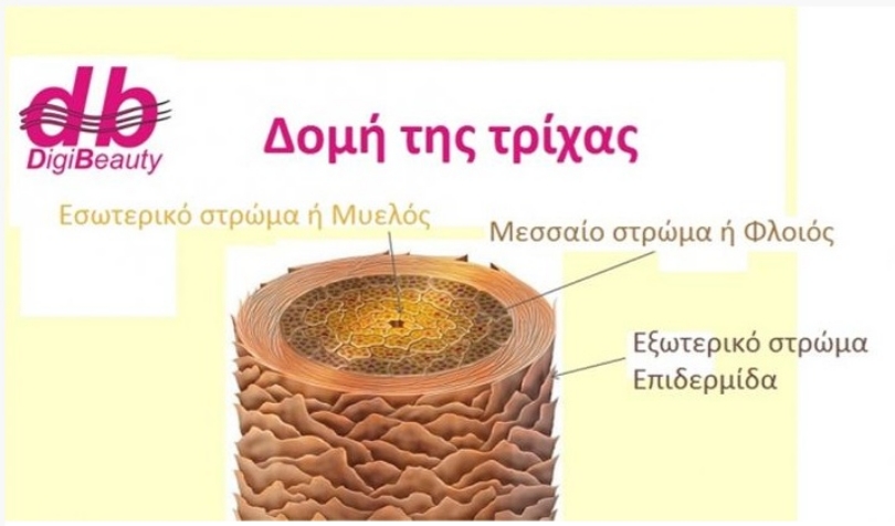Τρέσες μαλλιών και Hair extensions: Πώς να τα διατηρήσετε σε άριστη κατάσταση